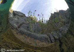 Plant on cliff face.
Not really an over/under shot but d... by Mark Thomas 